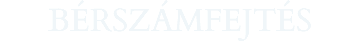 BÉRSZÁMFEJTÉS